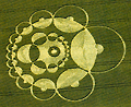 Roundway Splash Crop circle